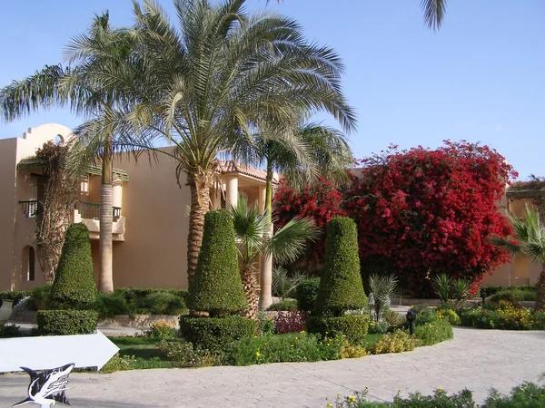 Is Westgate Resorts offering a true value compared to other resort brands